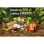 Gratisy