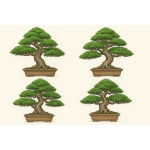 Bonsai