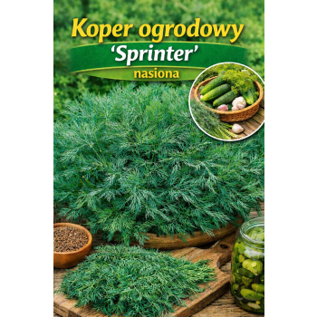 Koper Sprinter