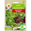 Sałata mix odmian taśma