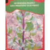 Ostrokrzew Blue Prince-Ilex x meserveae
