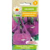 Kalarepa Delikatess Blauer