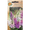 Naparstnica purpurowa