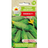 Ogórek gruntowy Śremski F1