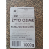 Żyto ozime