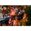Klon ussuryjski - Acer pseudosieboldianum