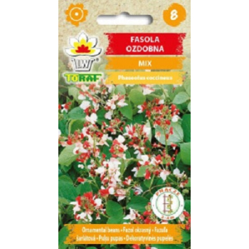 Fasola ozdobna mix