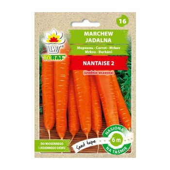 Marchew jadalna Nantaise 2 taśma