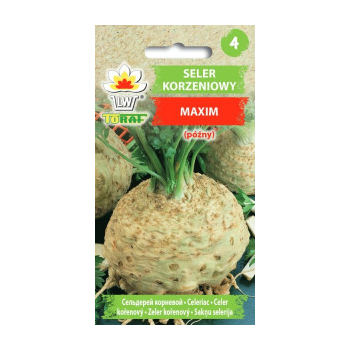 Seler korzeniowy Maxim póżny