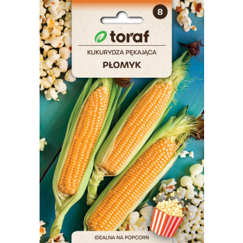Kukurydza pękająca PŁOMYK (na popcorn)