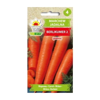 Marchew jadalna Berlikumer 2