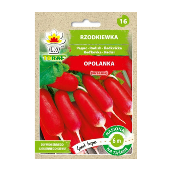 Rzodkiewka Opolanka taśma