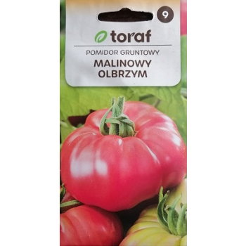 Pomidor gruntowy MALINOWY OLBRZYM