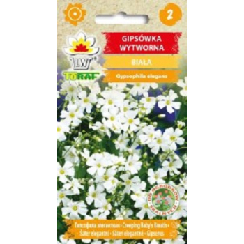 Gipsówka wytworna biała