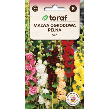 Malwa ogrodowa pełna