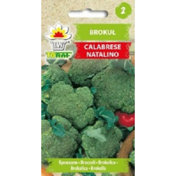 Brokuł Calabrese Natalino