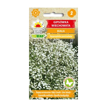 Gipsówka wiechowata biała