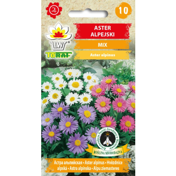 Aster alpejski mix