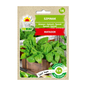 Szpinak Matador taśma
