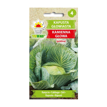 Kapusta głowiasta Kamienna Głowa