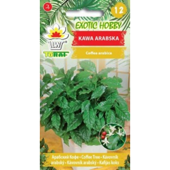 Kawa arabska