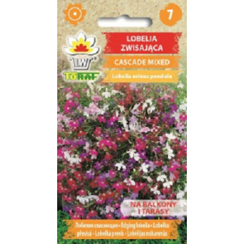 Lobelia zwisająca Cascade Mixed