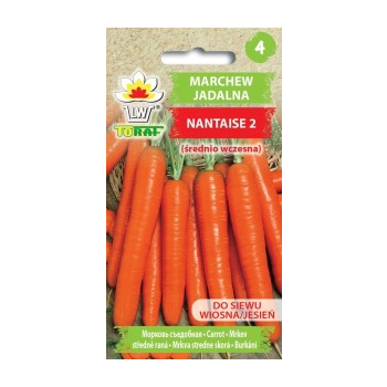 Marchew jadalna Nantaise 2