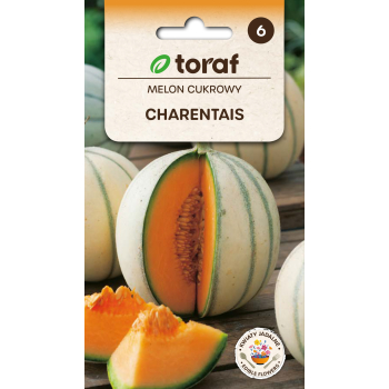 Melon cukrowy CHARENTAIS