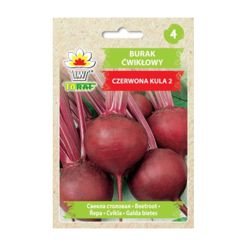 Burak ćwikłowy Czerwona Kula 2