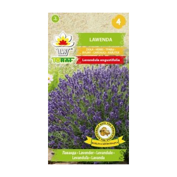 Lawenda