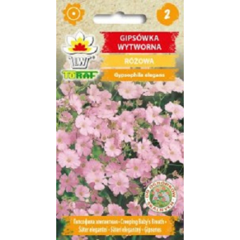 Gipsówka wytworna różowa