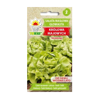 Sałata głowiasta masłowa Królowa Majowych