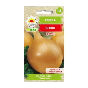 Cebula Globo