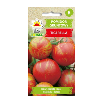 Pomidor gruntowy Tigerella
