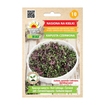 Kiełki Kapusta Czerwona