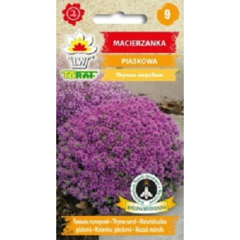 Macierzanka piaskowa