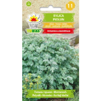 Bylica Piołun
