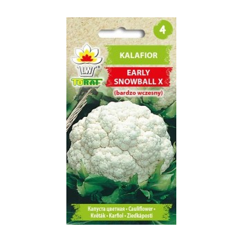 Kalafior Early Snowball X