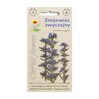 Żmijowiec zwyczajny