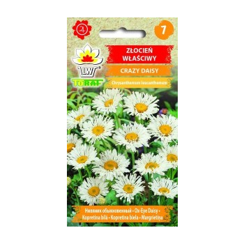 Złocień właściwy Crazy Daisy