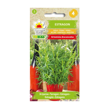 Estragon
