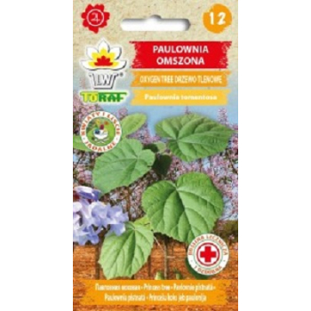 Paulownia omszona Oxygen Tree Drzewo Tlenowe