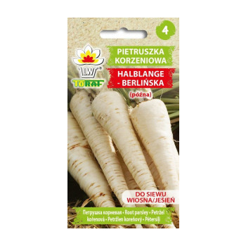 Pietruszka korzeniowa Halblange-Berlińska