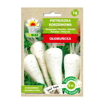 Pietruszka korzeniowa Ołomuńcka taśma