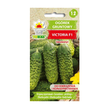 Ogórek gruntowy Victoria F1