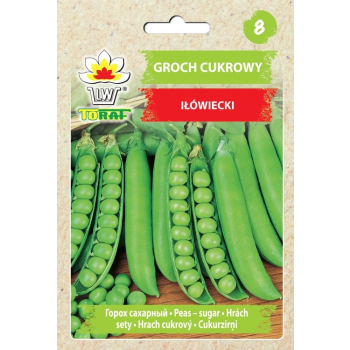 Groch cukrowy IŁÓWIECKI (śr. wczesny)