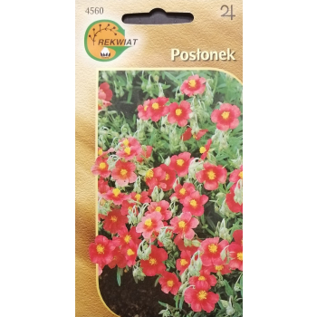 Posłonek