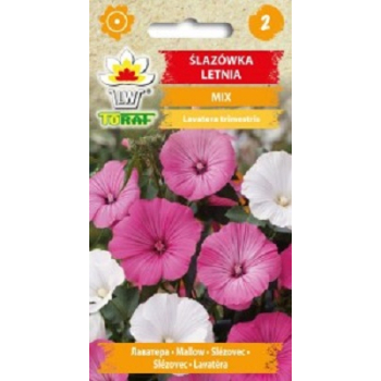Ślazówka letnia
