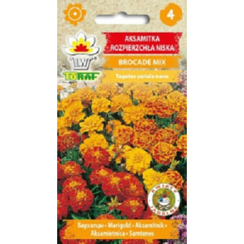 Aksamitka rozpierzchła niska Brocade mix