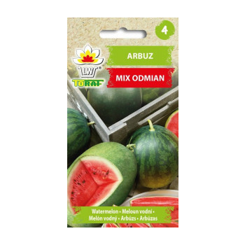 Arbuz mix odmian